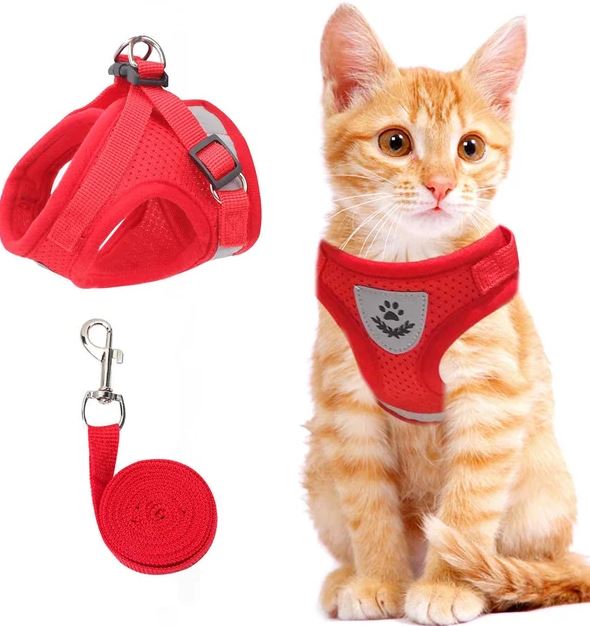 Adjustable, breathable, and luminous cat harness