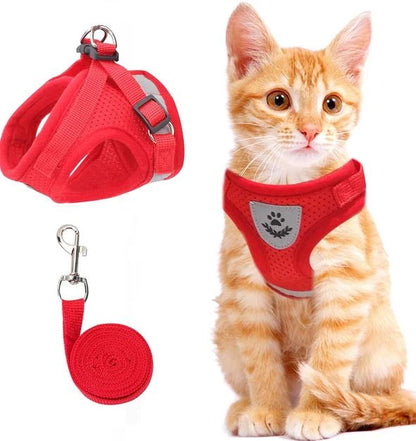 Adjustable, breathable, and luminous cat harness