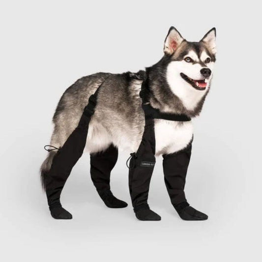 Waterproof Pet Shoe Boots - Olytrend