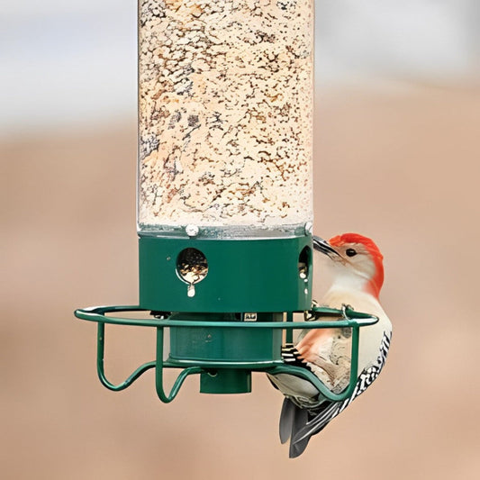 Wildlife Resistant Bird Feeder - Olytrend