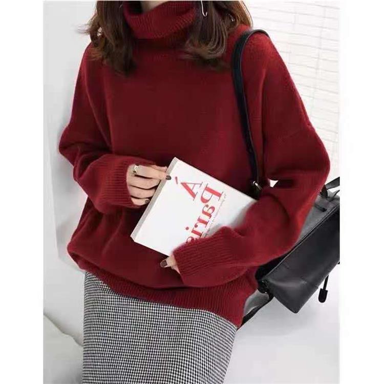 Casual turtleneck sweater