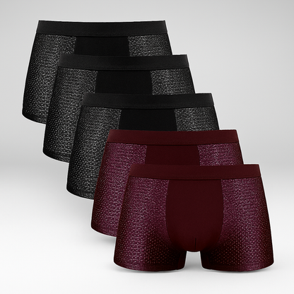 Breathable Boxer Briefs 5 Pack for Men - Olytrend