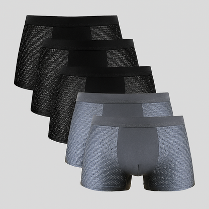 Breathable Men's Boxer Briefs 5 Pack