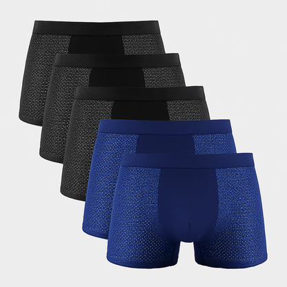 Breathable Boxer Briefs 5 Pack for Men