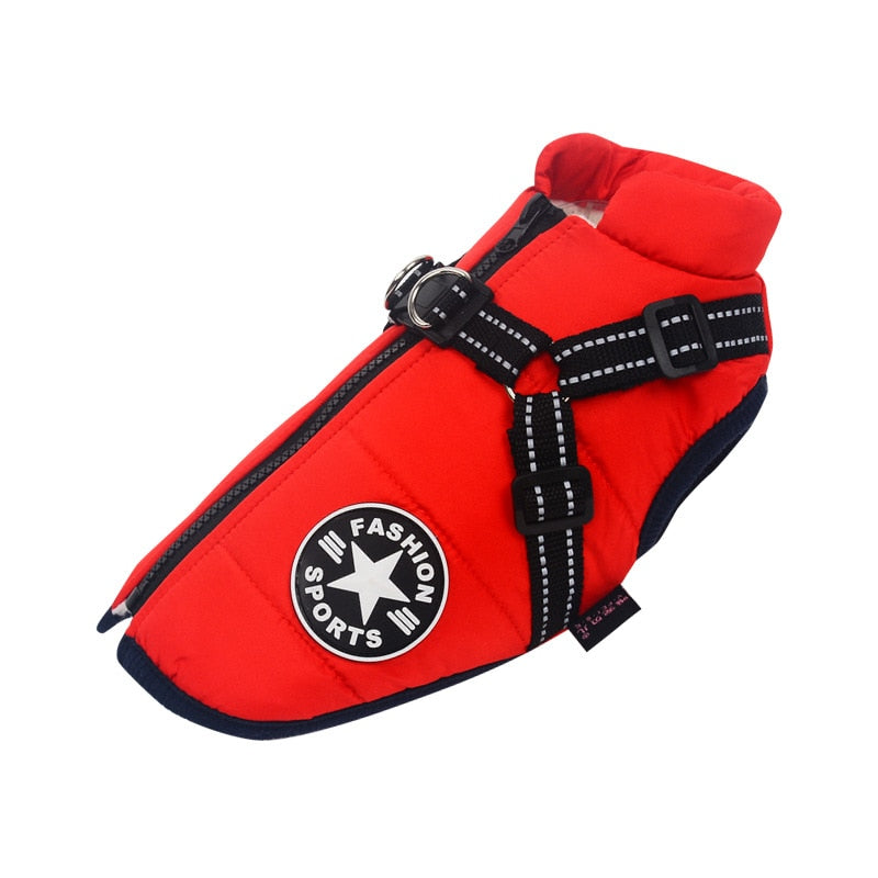 Winter jacket for dogs