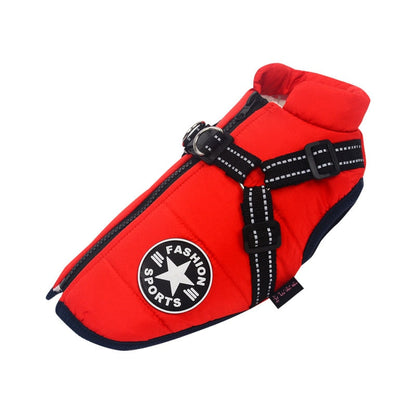 Winter jacket for dogs