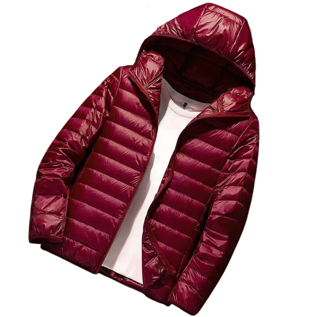 Waterproof Padded Hooded Zip Jacket for Men