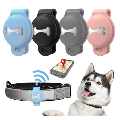 Caspar | GPS for dog - Always know where your four-legged companion is located