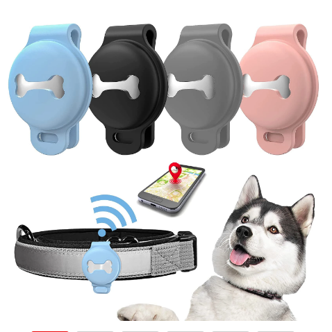 Caspar | GPS for dog - Always know where your four-legged companion is located