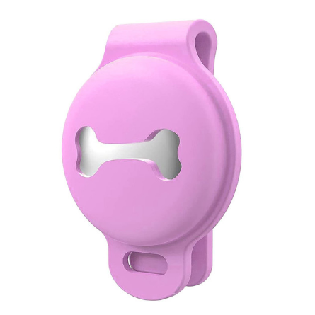 Caspar | GPS for dog - Always know where your four-legged companion is located