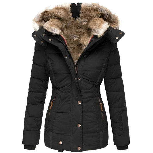 Women's Winter Puffer Jacket | Hood Slim Fit