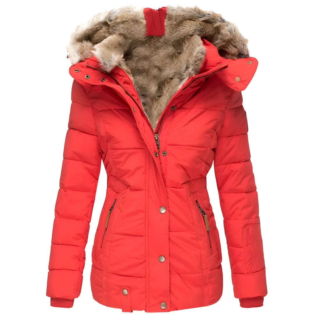 Women's Winter Puffer Jacket | Hood Slim Fit