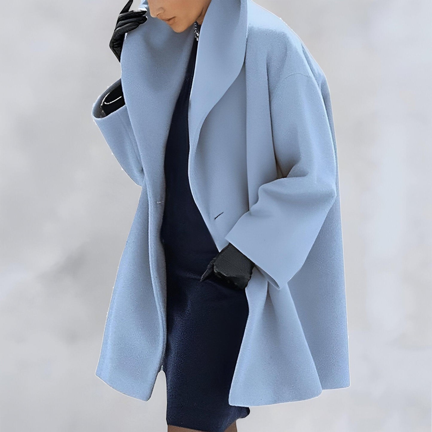 Windbreaker coat