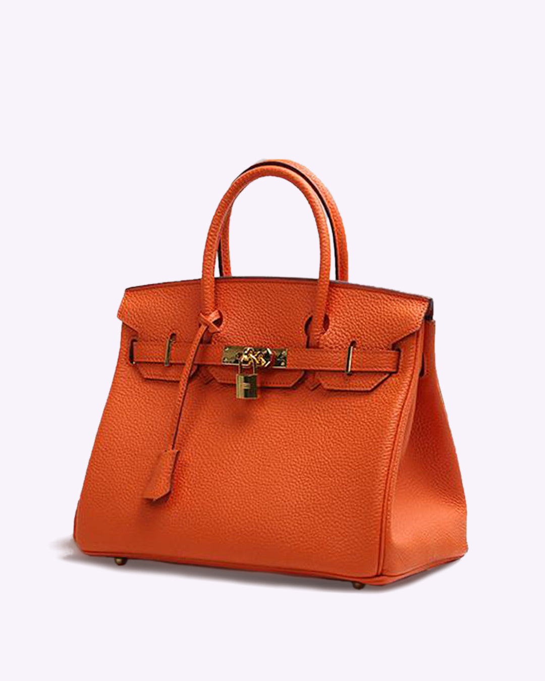 Vintage handbag | Lock detail